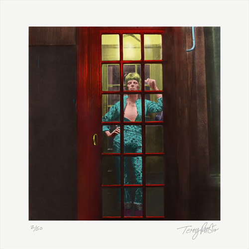 Terry Pastor - Ziggy (Red Phone Box) - Giclee Print